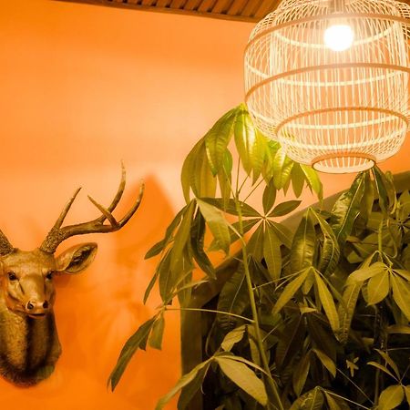 Steed Hotel Đà Lạt Exterior foto